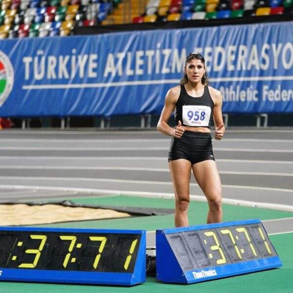 elif-p
