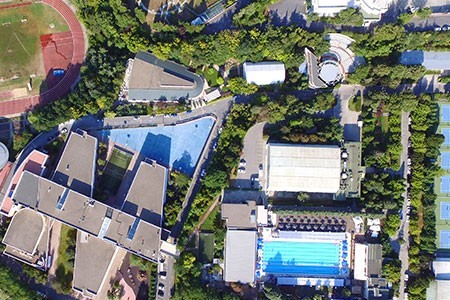 BRANŞ ÜYELİKLERİ